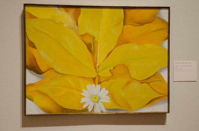 DSC_0135.jpg - Georgia O'Keeffe, "Yellow Hickory Leaves with Daisy," 1928.  Oil on canvas.
