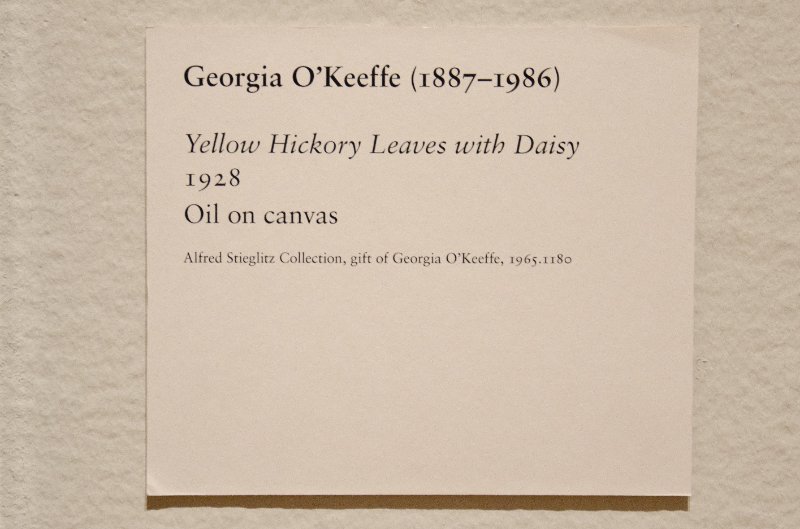 DSC_0136.jpg - Georgia O'Keeffe, "Yellow Hickory Leaves with Daisy," 1928.  Oil on canvas.