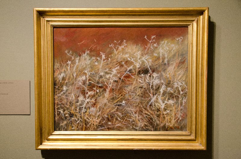 DSC_0142.jpg - John Singer Sargent, "Thistles," 1885/89.  Oil on canvas.