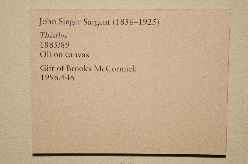 DSC_0143.jpg - John Singer Sargent, "Thistles," 1885/89.  Oil on canvas.