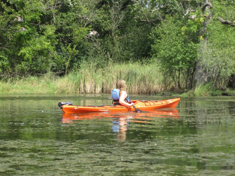 IMG_1932.jpg - Liz and her Geese