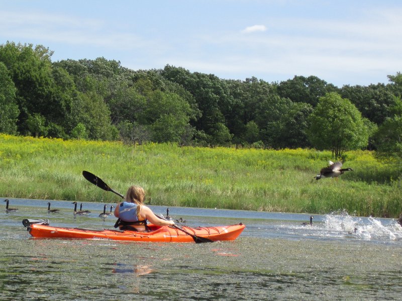 IMG_1933.jpg - Liz and her Geese