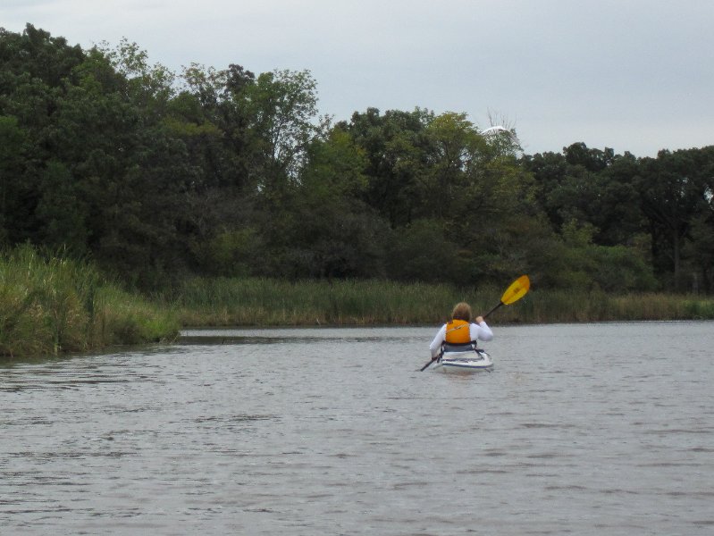 IMG_2003.jpg - Great Egret Flying Away