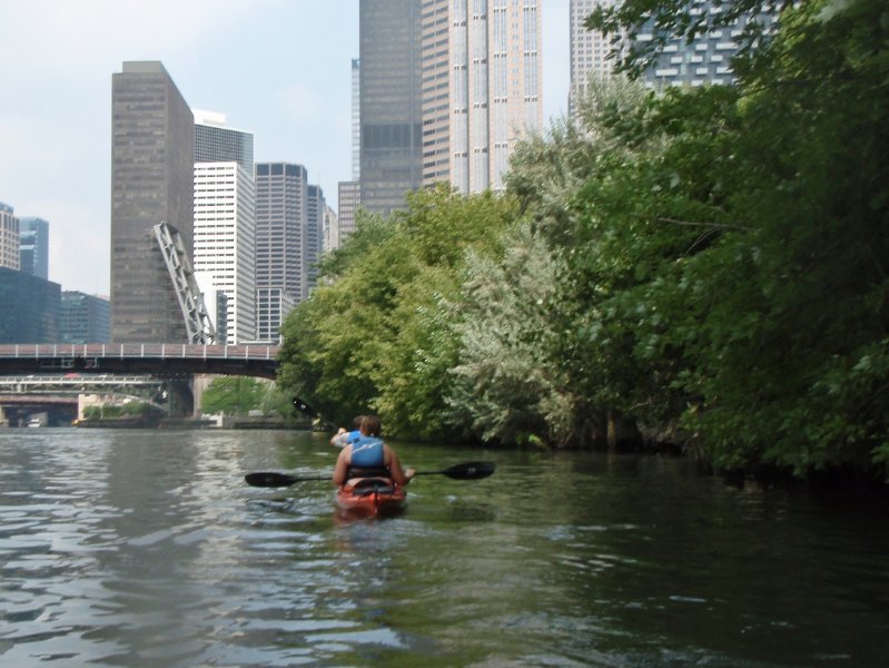 P8210011.jpg - Paddleing North toward Congress Parkway bridge