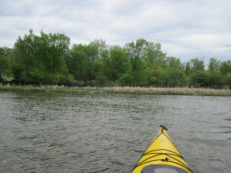 IMG_0423.jpg - Kayaking Busse Lake