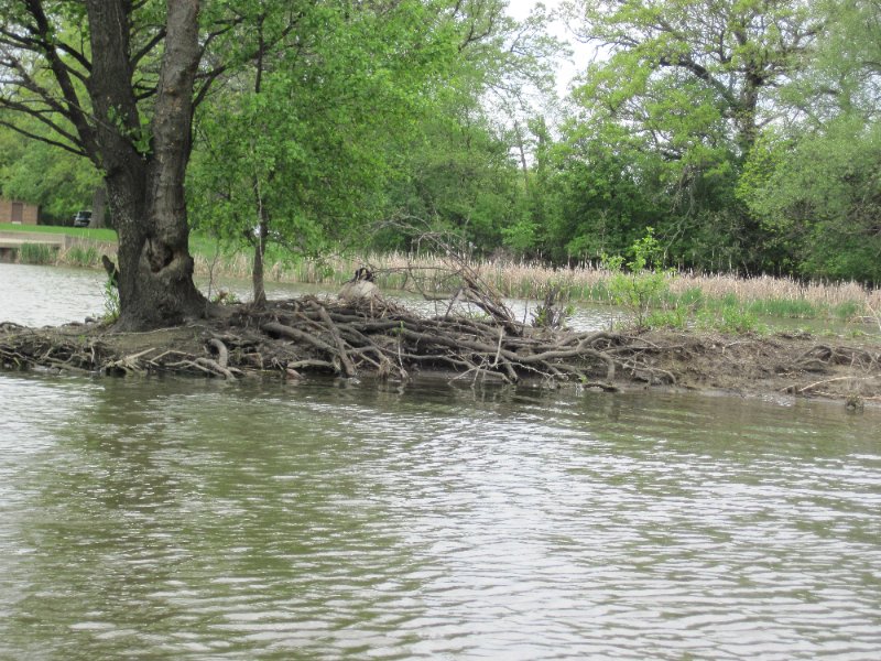 IMG_0431.jpg - Kayaking Busse Lake