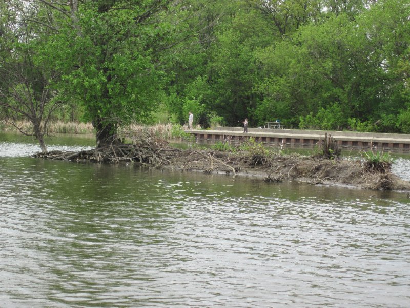 IMG_0441.jpg - Goose Nest