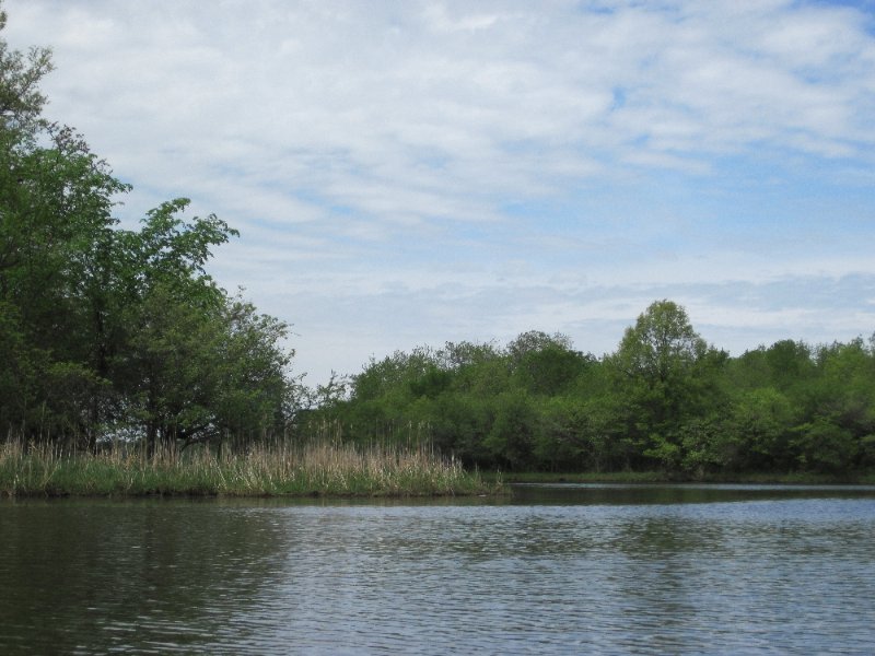 IMG_0472.jpg - Kayaking Busse Lake