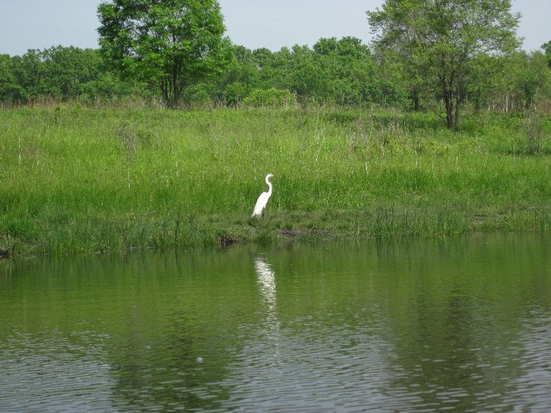 LakeBusseKayak052210-0839.jpg - Kayak Lake Busse