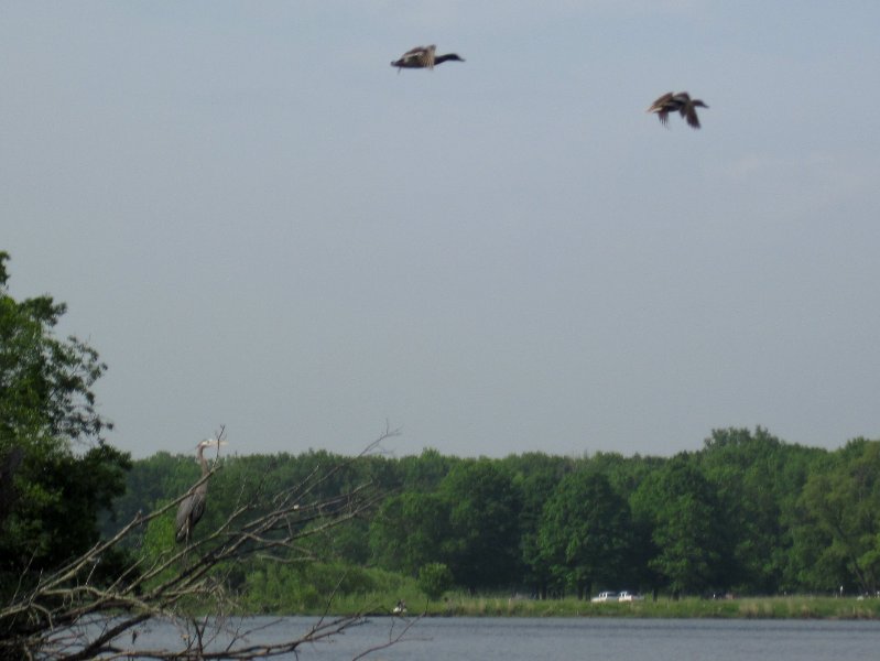 LakeBusseKayak052210-0865.jpg - Kayak Lake Busse