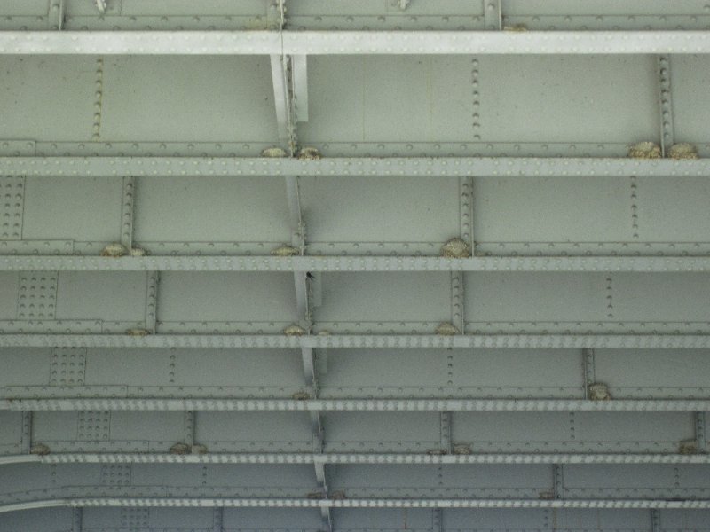 NorthShoreChannel052310-0883.jpg - Swallow nests under the Church Street bridge