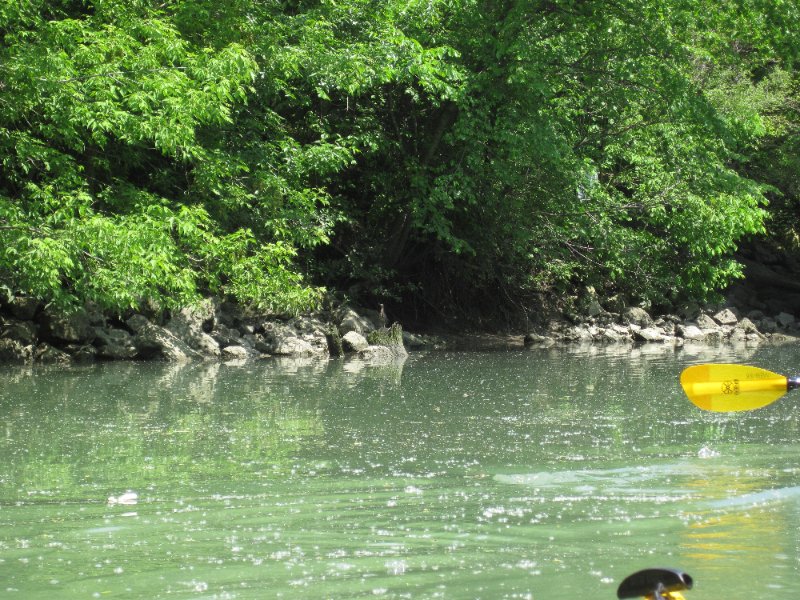 NorthShoreChannel052310-0896.jpg - Kayak North Shore Channel of Chicago River from Skokie to WIlmette