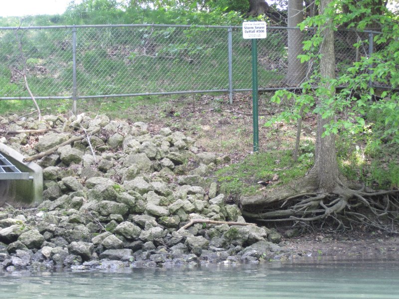 NorthShoreChannel052310-0929.jpg - Red-winged Blackbird