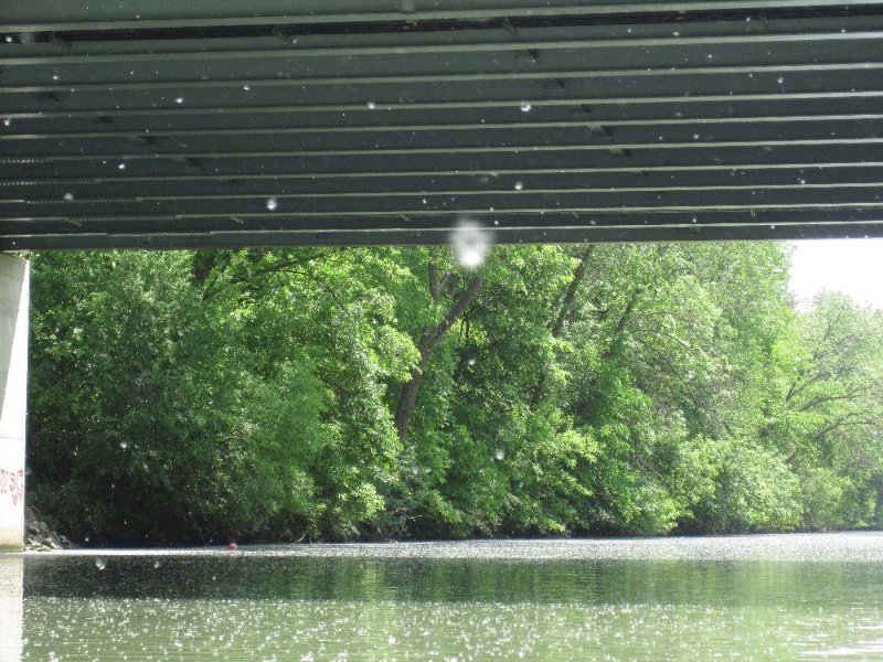 NorthShoreChannel052310-0954.jpg - Heading South, under the Dempster Street bridge.  Note:  Lots of CottonSeeds snowing down on us.