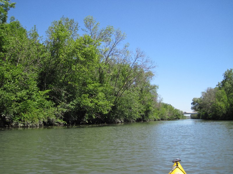 IMG_1174.jpg - This is how we typically first see birds -- hidden along the river bank.  Here's a Great Blue Heron. Main Street Bridge, background