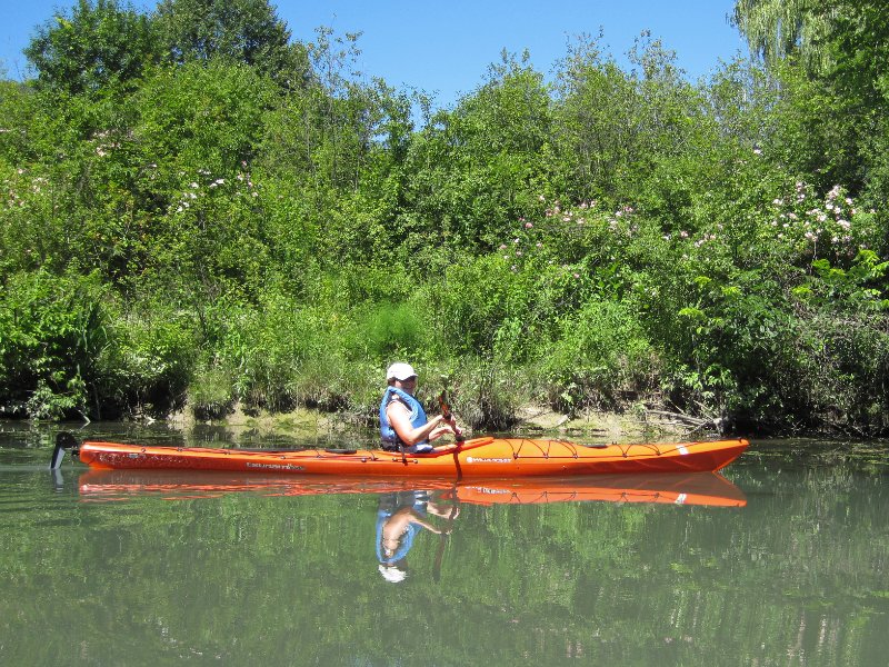 IMG_1180.jpg - VIcki