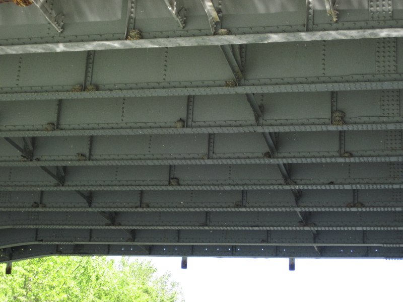 IMG_1219.jpg - Swallows nesting under the Church Street Bridge