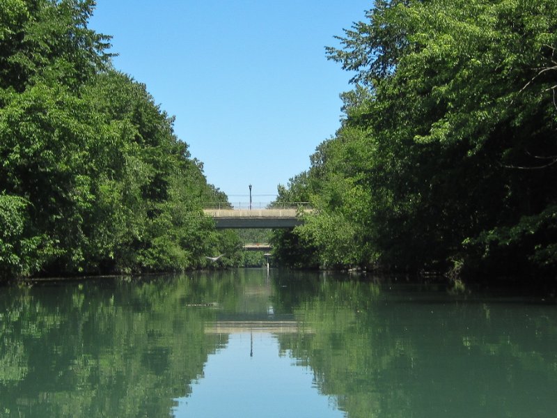 IMG_1245.jpg - Paddleing North toward the Isabella St bridge. Great Blue Heron, flying