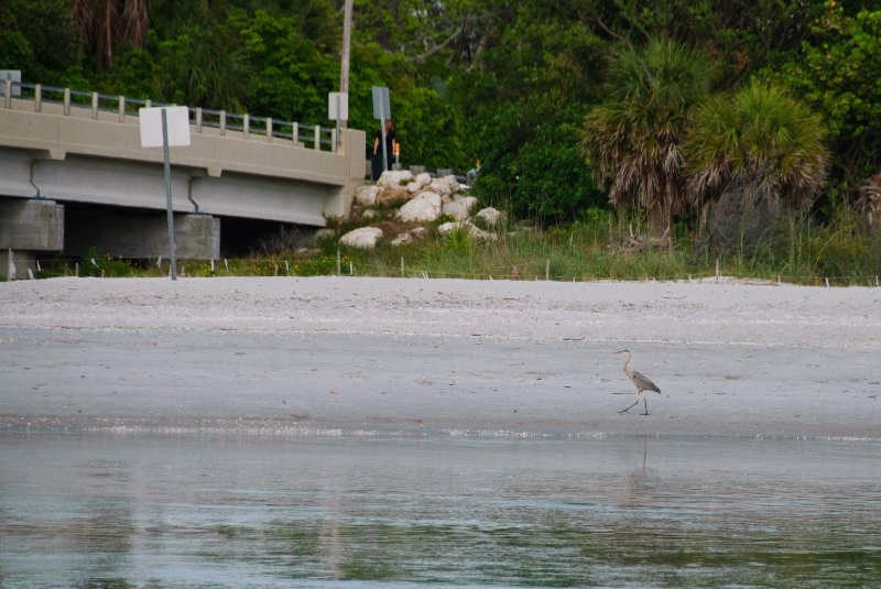 Captiva051310-2844.jpg - Blind Pass, Captiva side