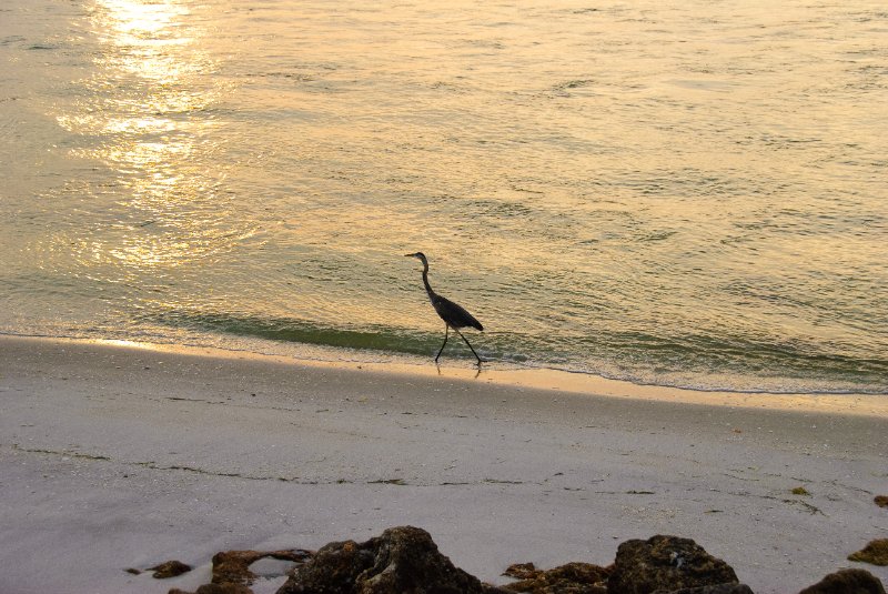 Captiva051310-2961.jpg - Redfish Pass