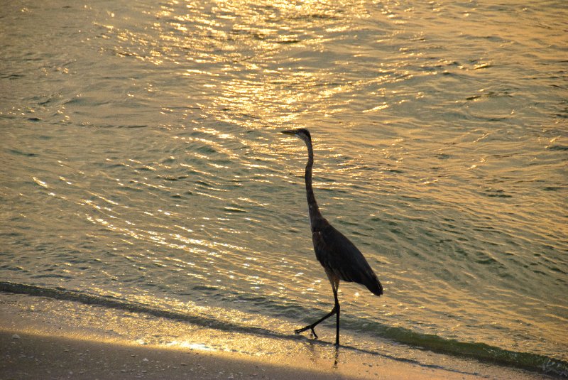 Captiva051310-2964.jpg - Redfish Pass