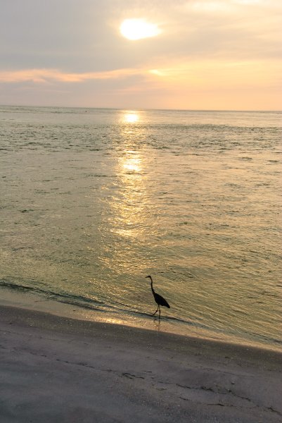 Captiva051310-2965.jpg - Redfish Pass