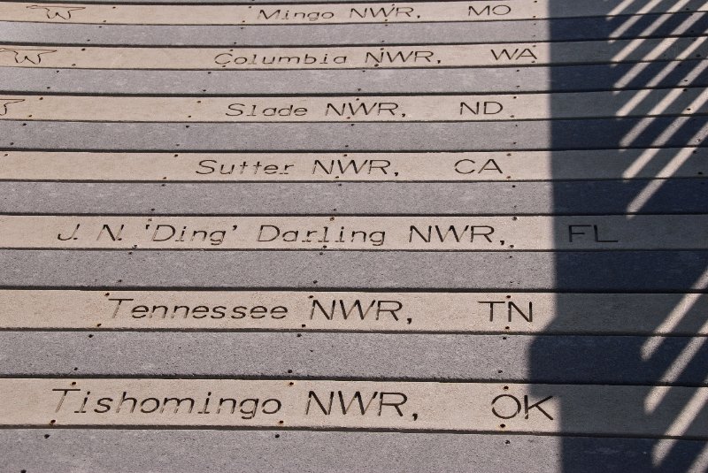 PelicanIsland110310-6610.jpg - Pelican Island National Wildlife Refuge