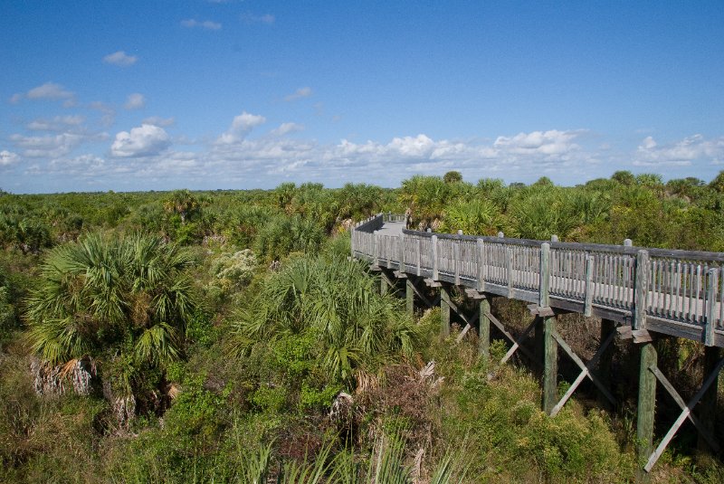 PelicanIsland110310-6612.jpg - Pelican Island National Wildlife Refuge