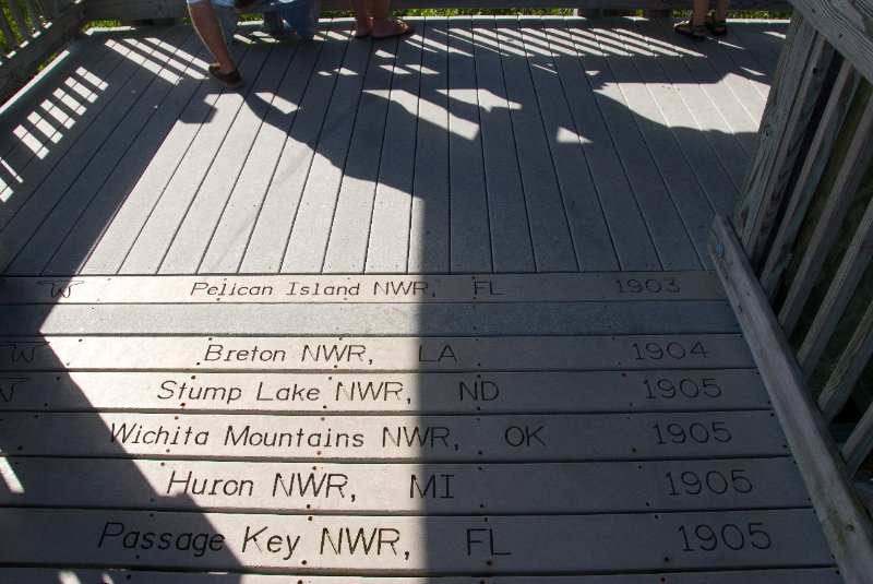 PelicanIsland110310-6613.jpg - Pelican Island National Wildlife Refuge, opened 1903, the first NWR