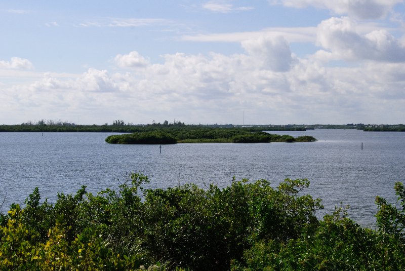 PelicanIsland110310-6616.jpg - Pelican Island, Indian River Lagoon