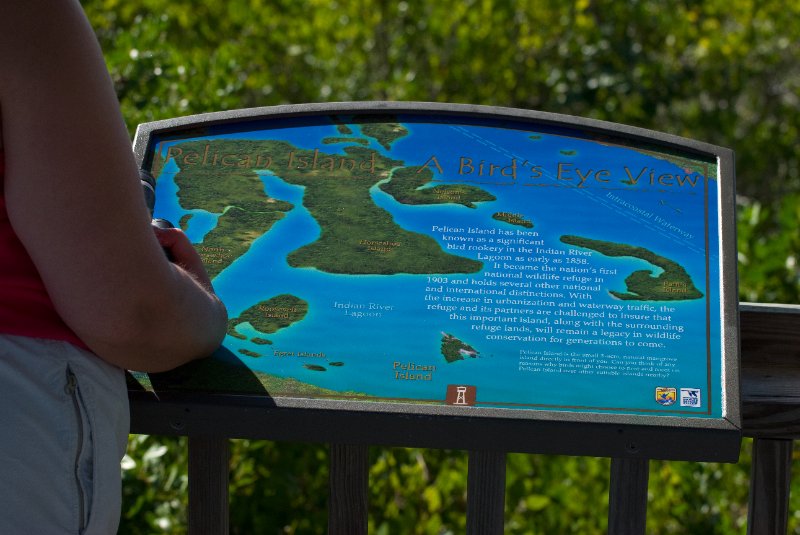 PelicanIsland110310-6634.jpg - Pelican Island: A Bird's Eye View
