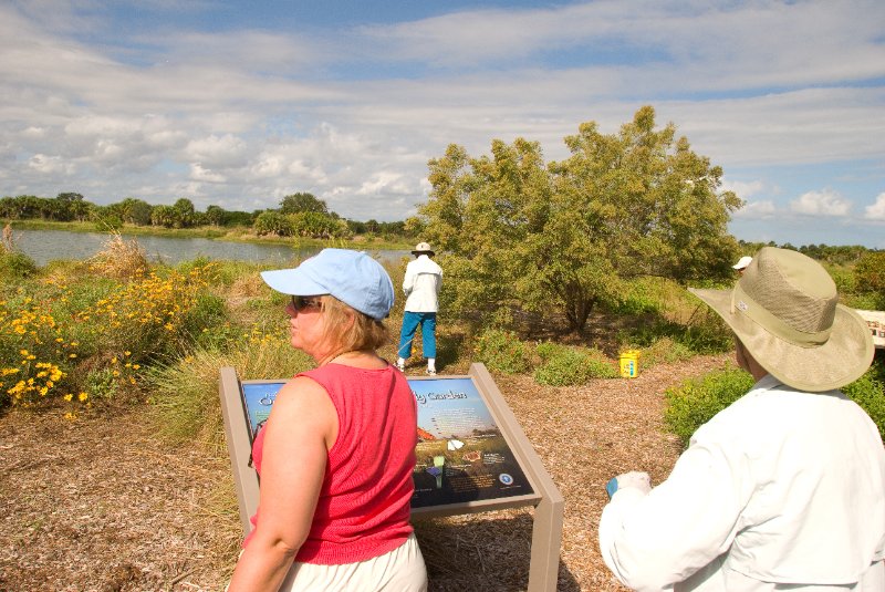 PelicanIsland110310-6668.jpg - Pelican Island National Wildlife Refuge