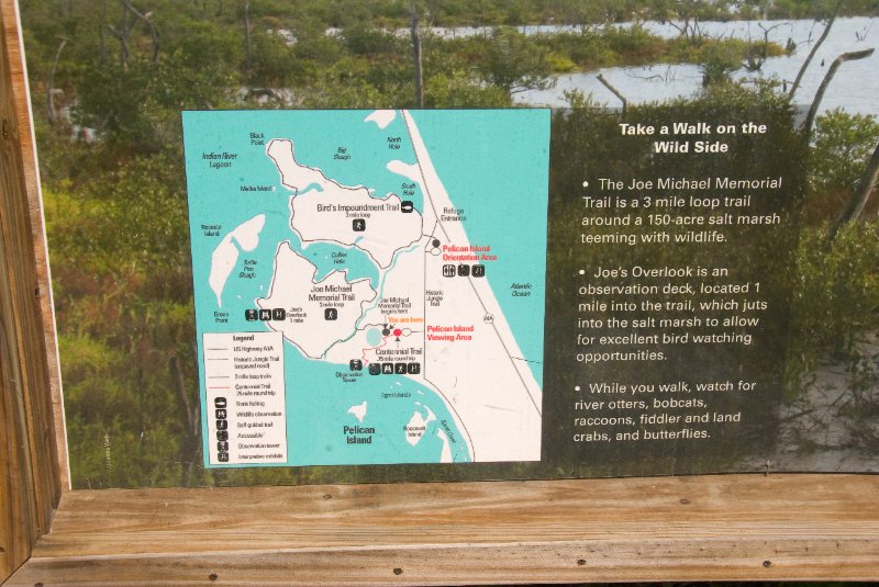 PelicanIsland110310-6671.jpg - Pelican Island National Wildlife Refuge