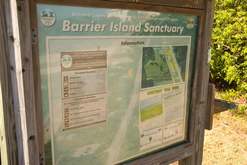 PelicanIsland110310-6679.jpg - Barrier Island Sanctuary Trial