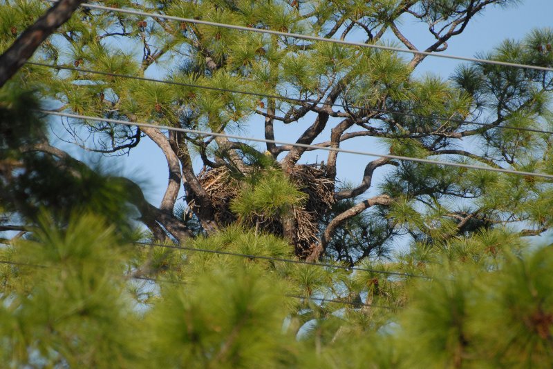 KSC110110-12.jpg - KSC Eagles Nest