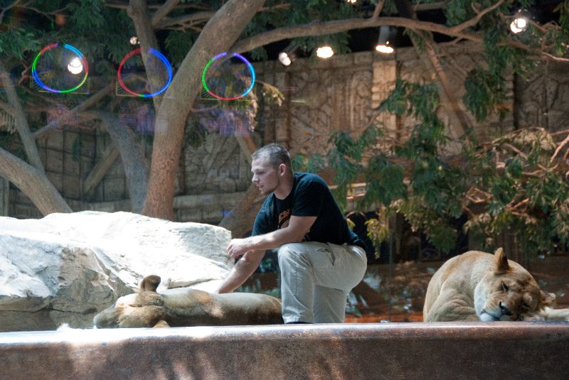 LasVegas042410-2526.jpg - MGM Grand, Live Lion