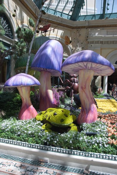 LasVegas042410-2547.jpg - Bellagio Conservatory