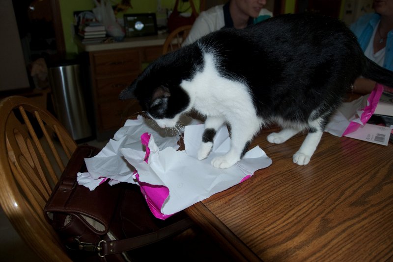 MothersDay050910-2821.jpg - Mother's Day, 2010