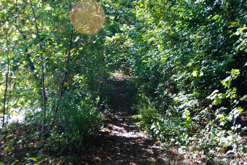 DSC_6320.jpg - Walk along the Seekonk River bank in the Swan Point Cemetery
