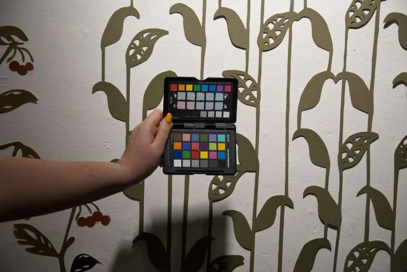 RISD120210-7129.jpg - Liz Senior project opening reception at Benson Hall Gallery