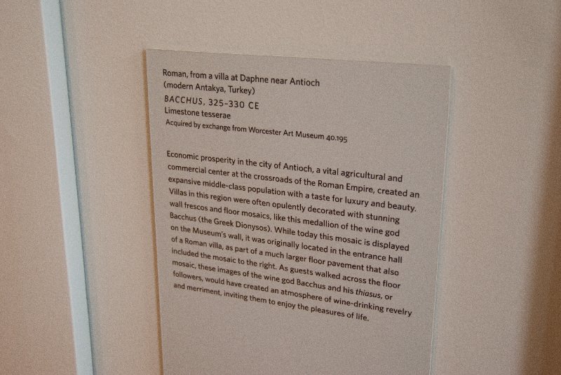 RISD120210-7153.jpg - Bacchus mosaic from villa at Daphne near Antioch