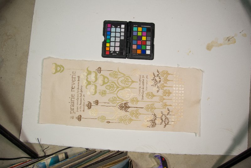 DSC_7274.jpg - Liz Poster