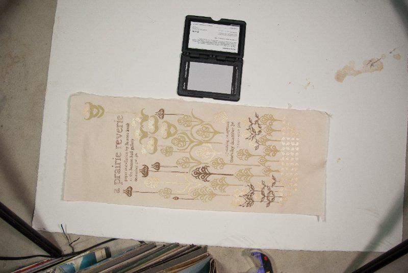 DSC_7275.jpg - Liz Poster