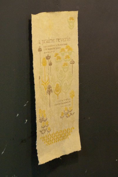 RISD120210-7162.jpg - "A Prairie Reverie" paper installation by Liz Anna Kozik at the Benson Hall Gallery, December 2nd - 3rd.  Opening Reception Thursday December 2nd, 7-9pm