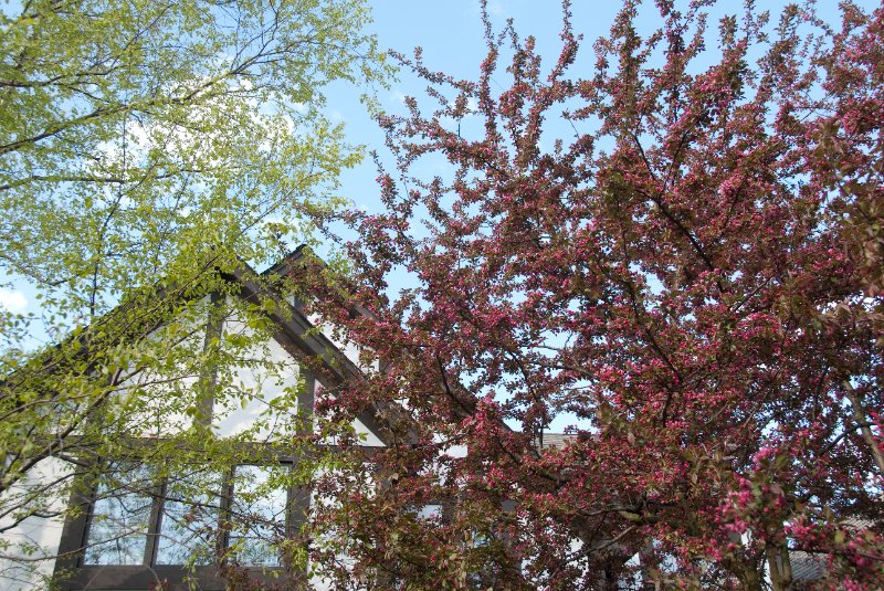 DSC_2453.jpg - JACK KOZIK