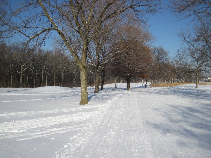 XCSkiArrowhead122910-2057.jpg - Cross Country Skiing trail between Arrowhead West Golf Course holes 4 and 6