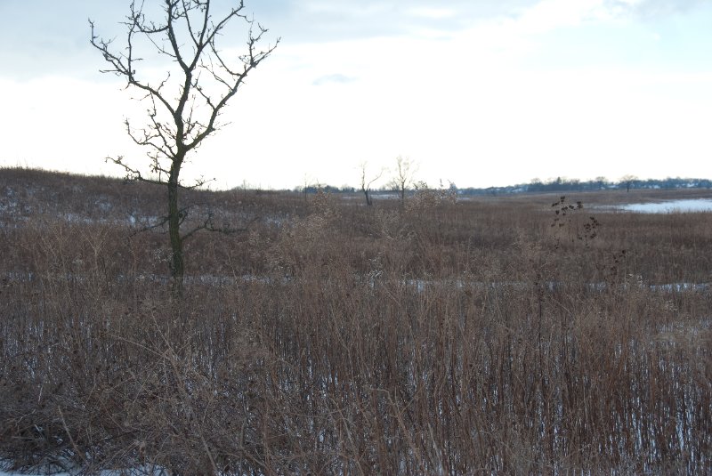 Xmas2010-7276.jpg - JACK KOZIK