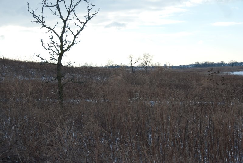 Xmas2010-7277.jpg - JACK KOZIK