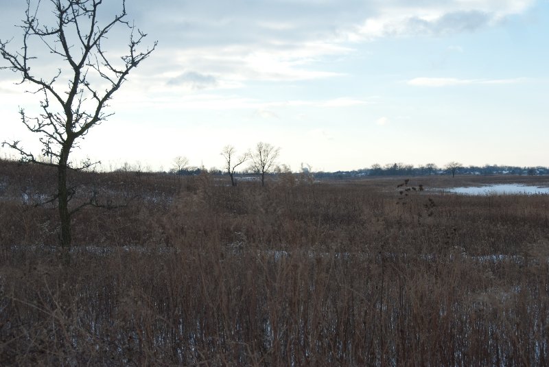 Xmas2010-7278.jpg - JACK KOZIK