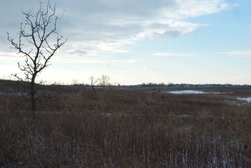 Xmas2010-7279.jpg - JACK KOZIK